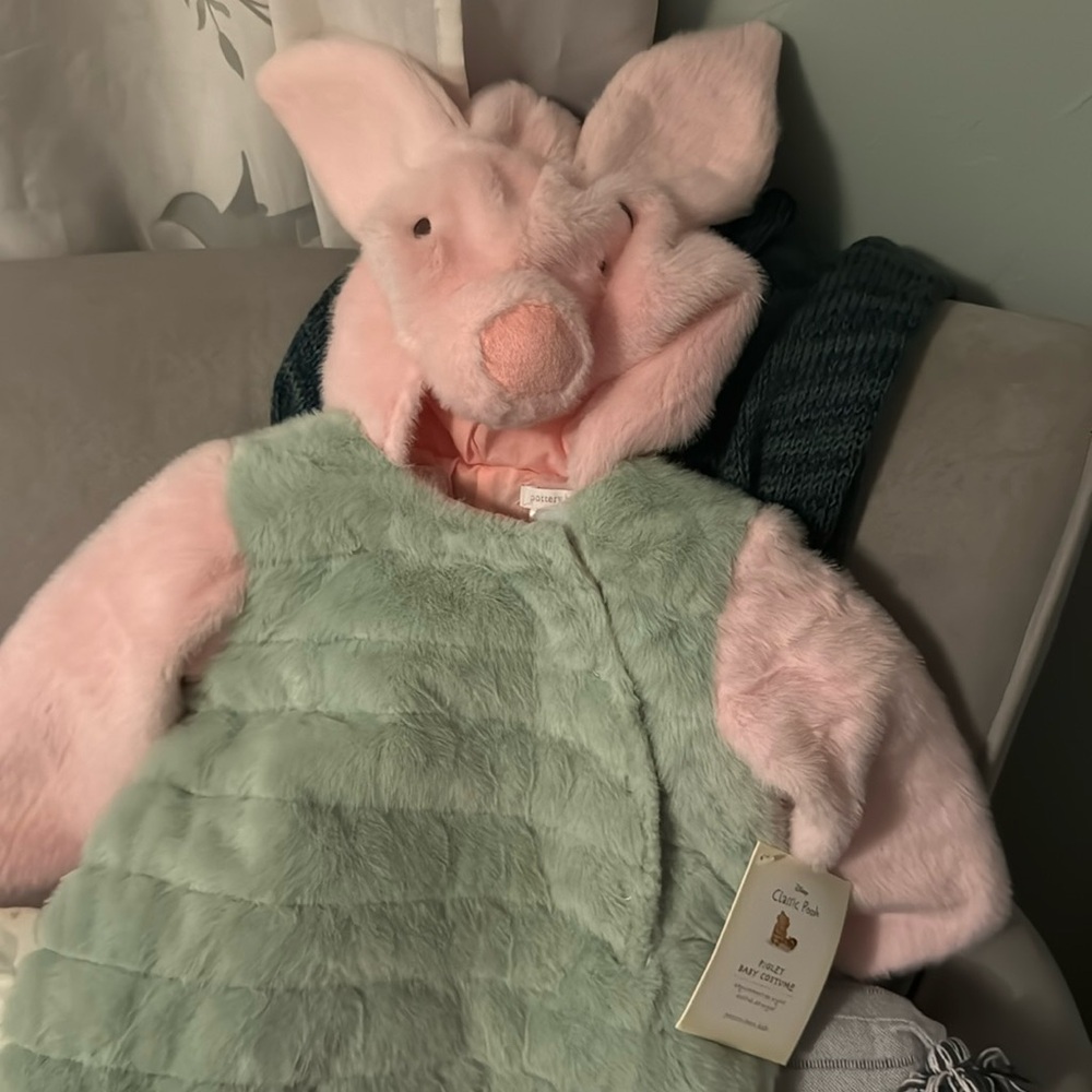 Disney Winnie the Pooh Piglet Halloween Costume-Pottery Barn
